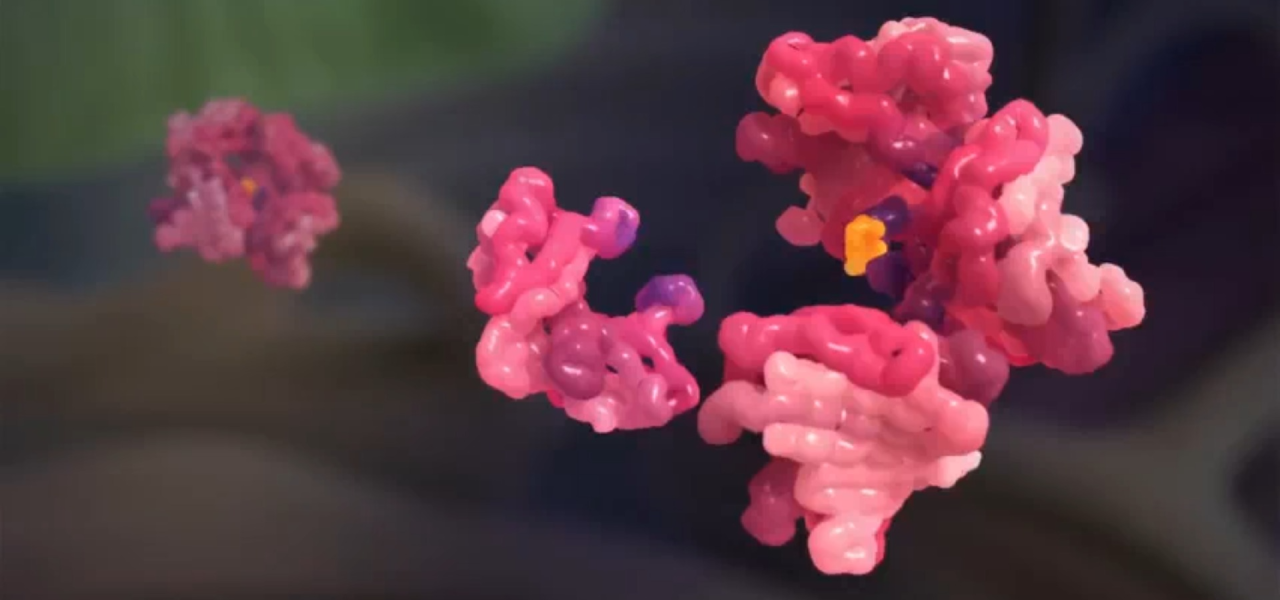 What is amyloidosis explained with visual overview of amyloid protein buildup