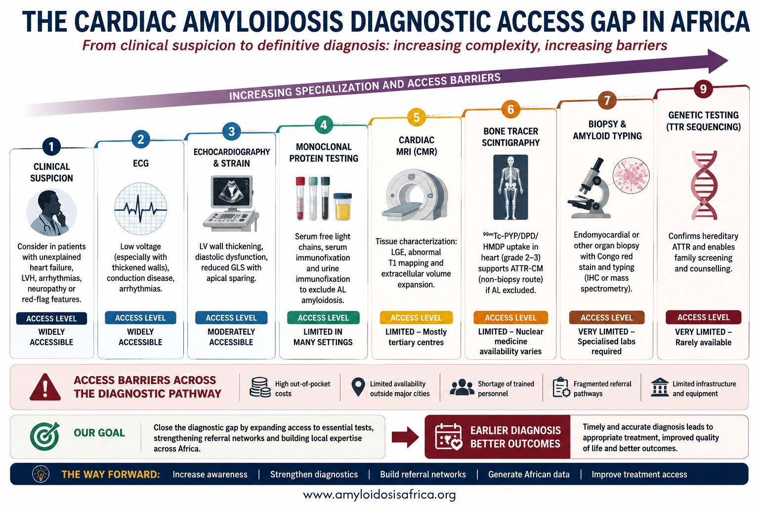 Cardiac amyloidosis in Africa diagnostic access gap infographic showing clinical suspicion, ECG, echocardiography, monoclonal protein testing, cardiac MRI, bone scintigraphy, biopsy, amyloid typing and genetic testing.