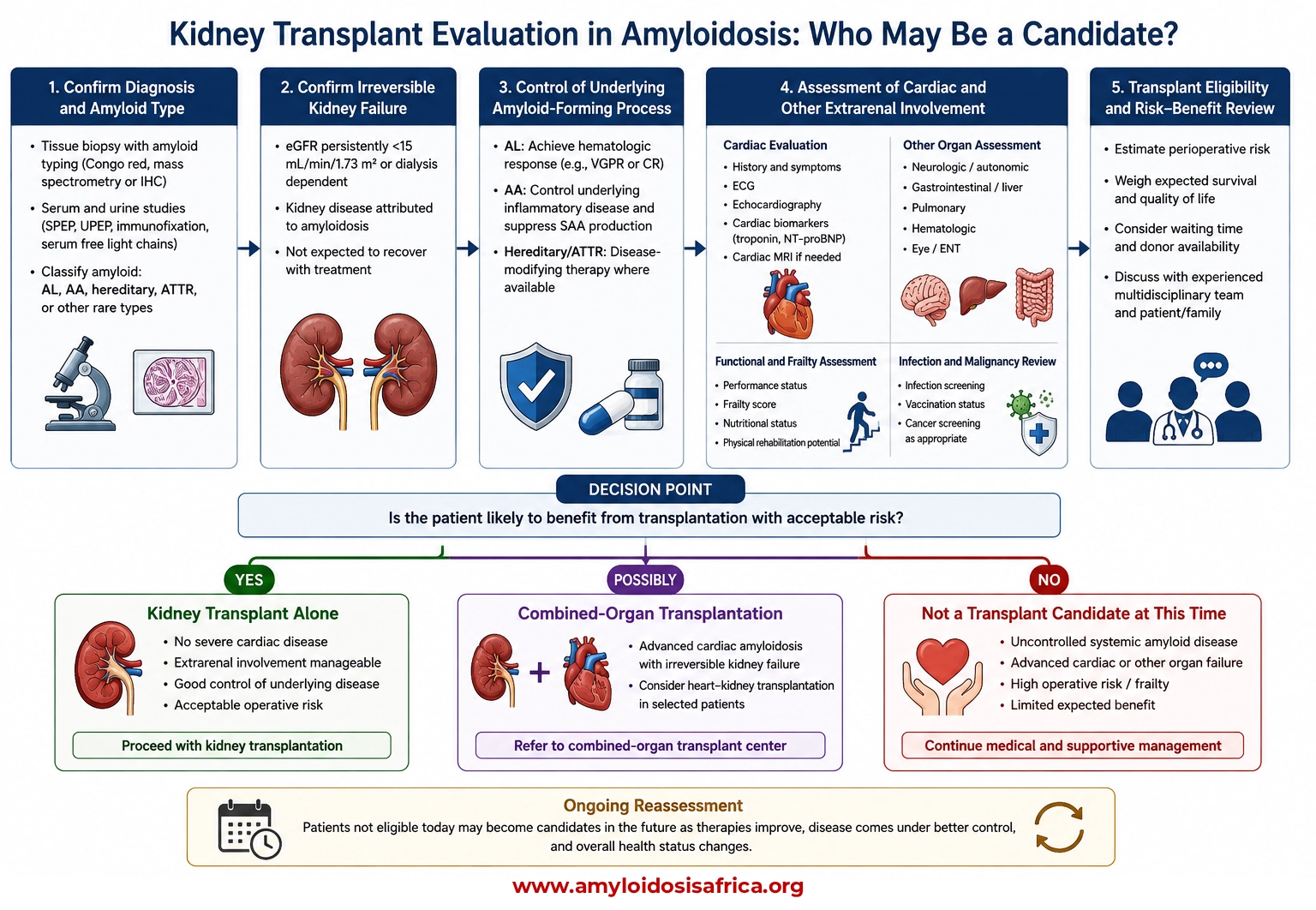Kidney transplant evaluation pathway in amyloidosis showing amyloid typing, kidney failure severity, disease control, cardiac and extrarenal assessment, transplant eligibility, and kidney or combined-organ transplantation options.