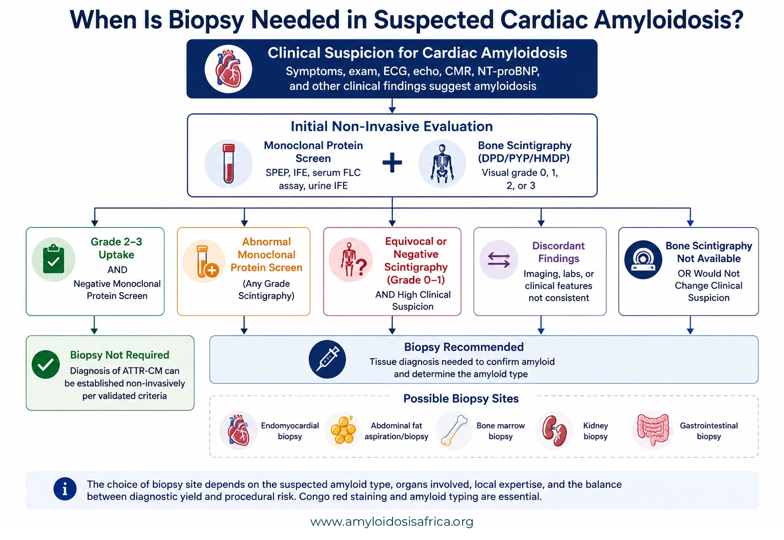 Diagnostic flowchart showing when biopsy is needed in suspected cardiac amyloidosis, based on monoclonal protein testing, bone scintigraphy findings, and clinical suspicion.