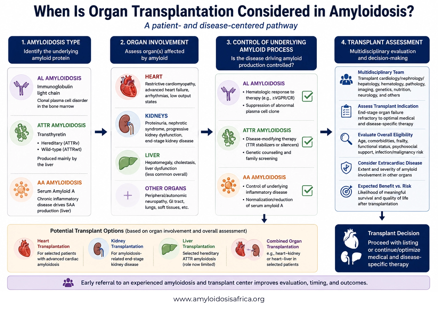 Flowchart showing when organ transplantation may be considered in amyloidosis, progressing from AL, ATTR, or AA amyloidosis and organ involvement to disease control, multidisciplinary transplant assessment, and potential heart, kidney, liver, or combined-organ transplantation.