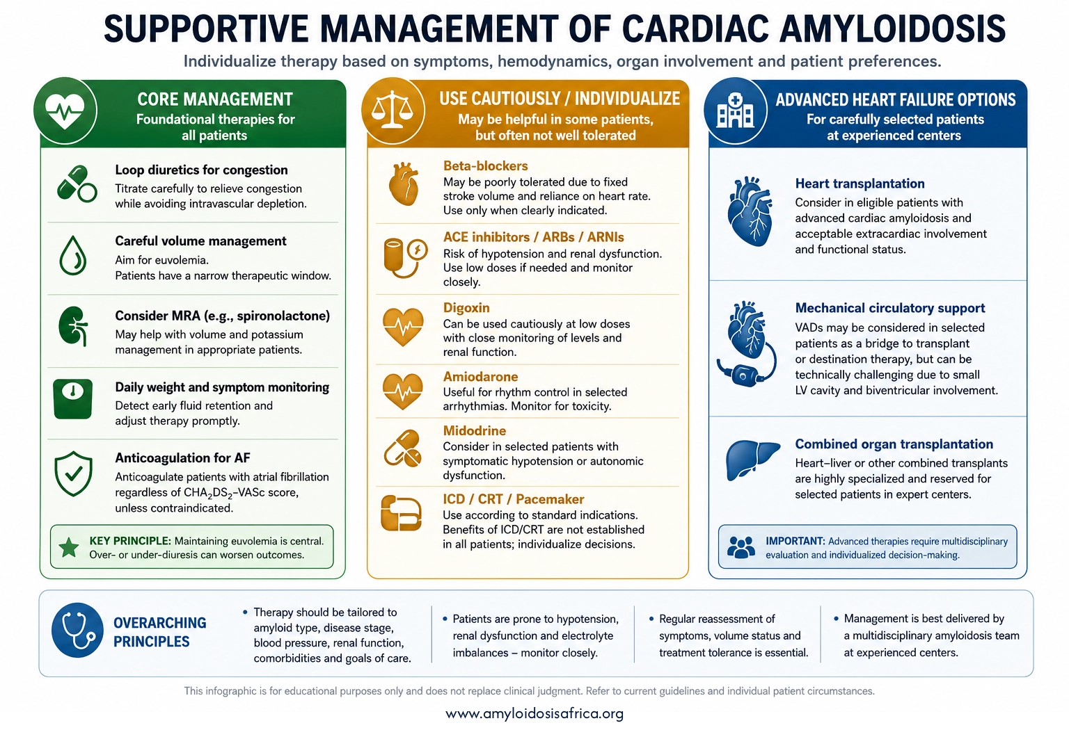 Cardiac amyloidosis treatment infographic summarizing supportive management, including diuretics, volume management, anticoagulation, cautious use of cardiovascular medications, device therapy, and advanced heart failure options.