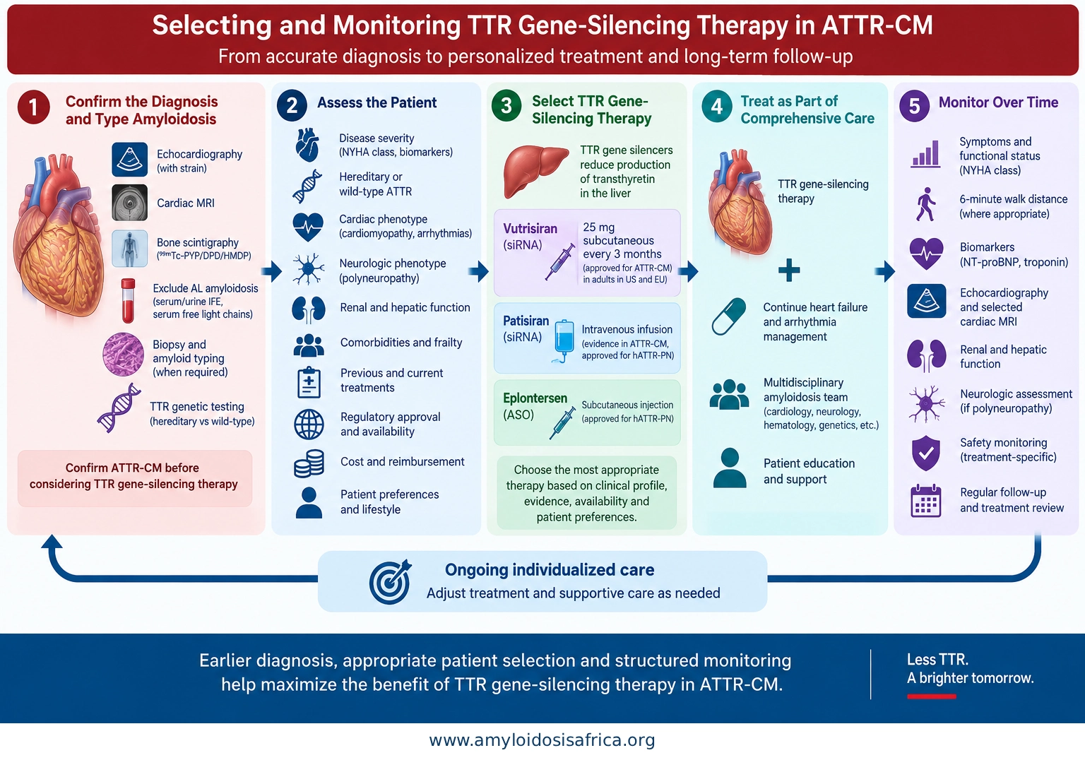 TTR gene-silencing therapy in ATTR cardiomyopathy showing diagnosis, patient assessment, treatment selection, multidisciplinary care and long-term monitoring