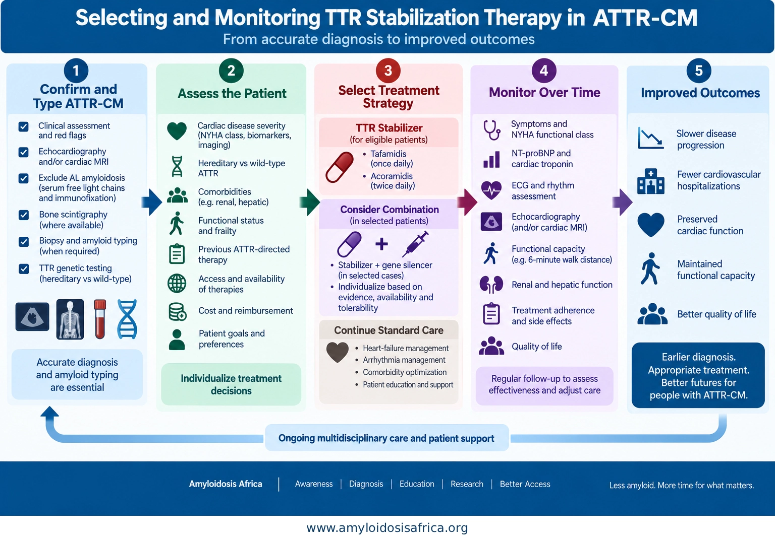 TTR stabilization therapy pathway in ATTR-CM showing diagnosis and amyloid typing, patient assessment, treatment selection, clinical monitoring and long-term outcomes