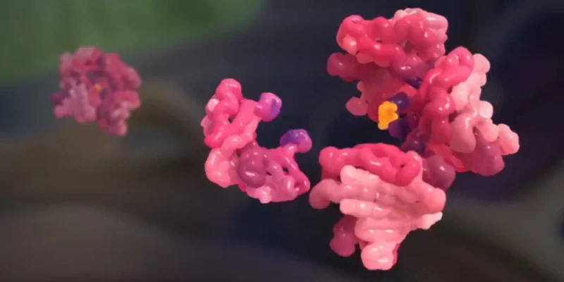 What is amyloidosis explained with visual overview of amyloid protein buildup